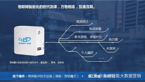 互联网大数据的发展趋势与数据服务的前沿实践