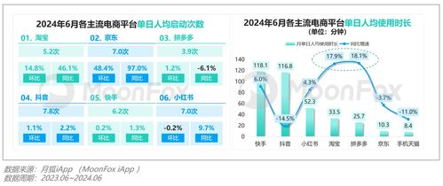 2024年第二季度移动互联网行业数据研究报告 互联网数据服务洞察